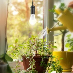 How to Choose the Right Grow Light for Your Indoor Garden: A Complete Guide