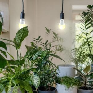 How to Choose the Right Grow Light for Your Indoor Garden: A Complete Guide