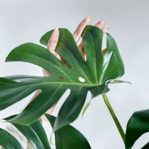 www.growupplant.com