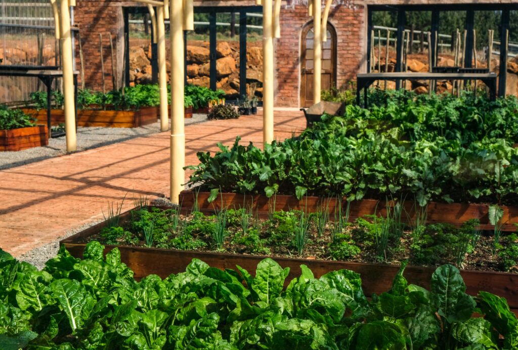 Companion Planting Chart: Best Plant Pairings for Your Garden