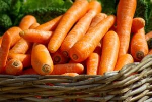 How to Start Vegetable Gardening for Beginners at Home: Tips, Ideas, and a Complete Guide
