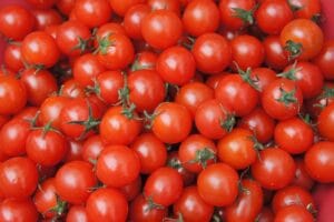 How to Start Vegetable Gardening for Beginners at Home: Tips, Ideas, and a Complete Guide