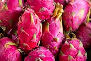 How to Grow Dragon Fruit Plant at Home in Pots, Easy Care Tips: Complete Guide for Beginners