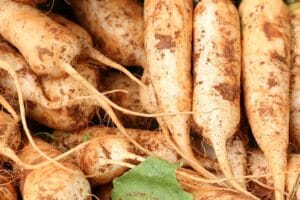 How to Start Vegetable Gardening for Beginners at Home: Tips, Ideas, and a Complete Guide